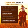 MySuperfoods Organic Maca Premium 4 Root Powder 200g
