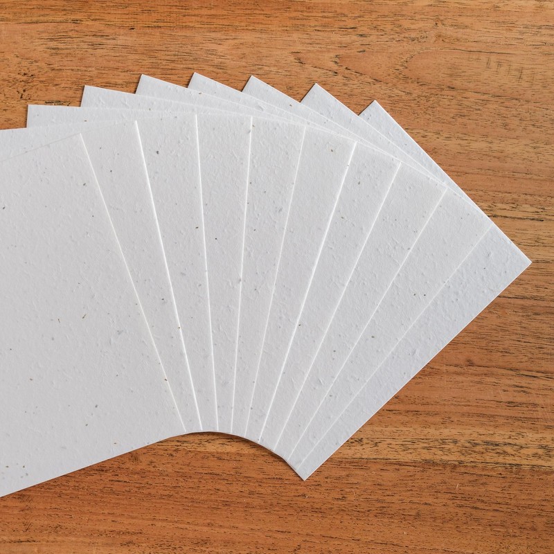 Blooming Sowing Paper - 10 Sheets - DIN A4 250