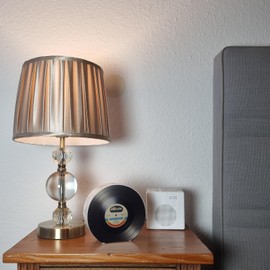 speecheese Retro Vinyl Record Money Box - Record - Music Design with Label - Ideal for Retro Collectors and Music Lovers - Multicolour - Ceramic - Classic - Unisex, All Ages