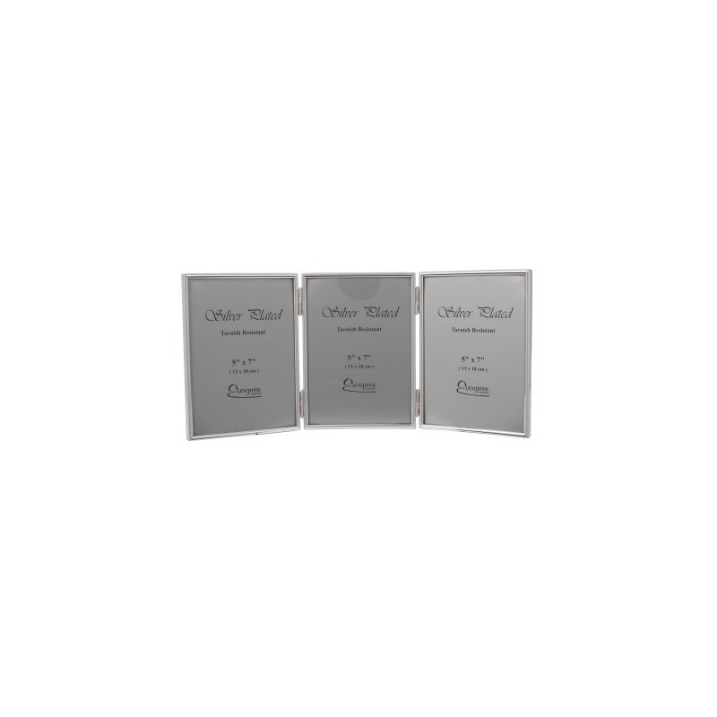 Evergreen Frame, Silver Plated, 5x7 Portrait [12x18cm]
