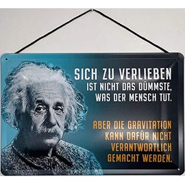 Blechschild Albert Einstein: To fall in love is not the dumbest thing man does with cord 30 x 20 cm. - Blechemma