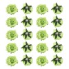 MECCANIXITY 20 Pcs Rose Flower Hair Clips 4 Inch Flower