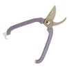 miki Starboard and village Garden Oval Itâ € TMs Violet