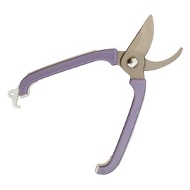miki Starboard and village Garden Oval Itâ € TMs Violet TS136