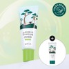 ROUND LAB Pine Calming Cica Mild-Up Sunscreen 40ml Set (+Pine