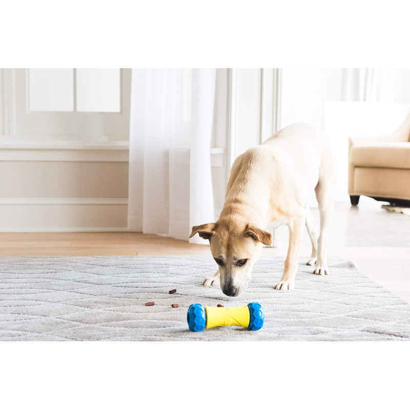 JW Pet 32290 RoboBone Electronic Treat Dispenser, Yelow/Blue