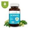 Suplemento Alimenticio Vitam. C Moringa Té Verde Biosuple