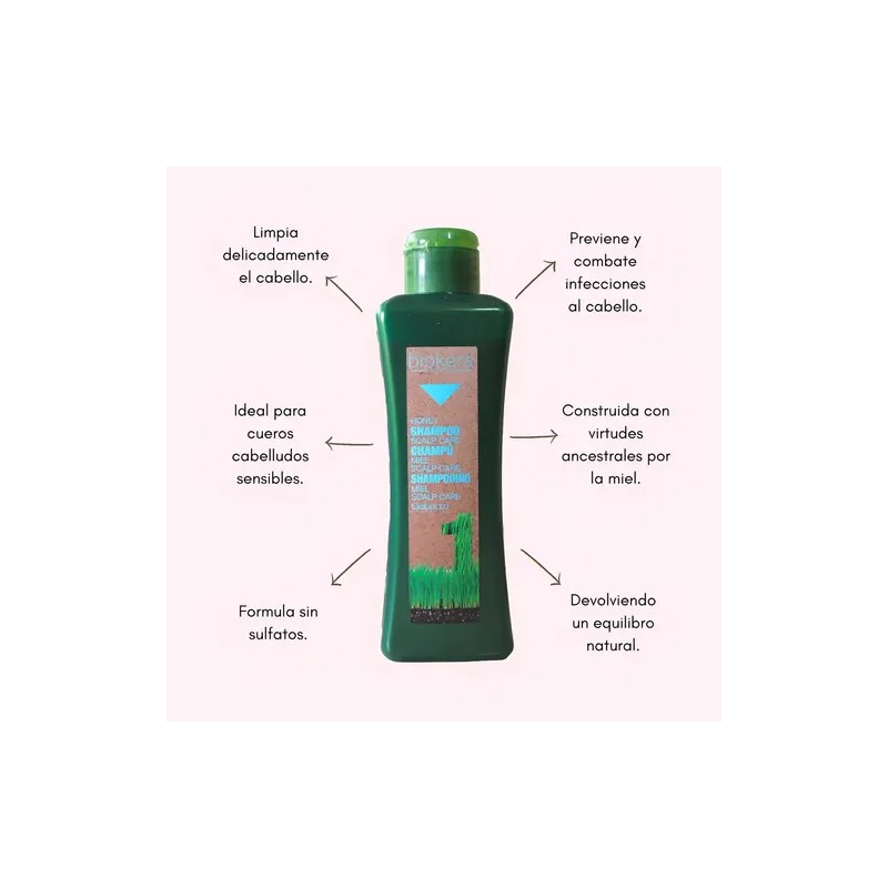 Shampoo Cuero Cabelludo Sensible Salerm Cosmetc Anti Caspa