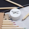 'Passenger Plane' Compact Pencil Sharpener (PS00009764)