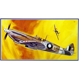 Micro Ace 1/48 War Machine Series No. 12 British Air Force Super Marine Spitfire Mk.8 Plastic Model