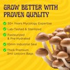 SPORE SORCERY 13 LB Monotub Refill Kit | Includes: 5