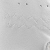 Reithandschuh - Der Allrounder, weiß, M
