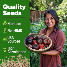 HOME GROWN Cherokee Purple Tomato Seeds 106+ Heirloom Non GMO Seeds for Planting, High Germination, Indeterminate, Rich Smoky Flavor, Large Beefsteak Slicing Tomato, Home Garden (Solanum lycopersicum)