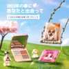 ZEESEA Fantastic Animal Series 4 Colors Eye Shadow (D01)