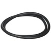 Waterway Plastics 806105244048 Pro Clean Lid O-Ring