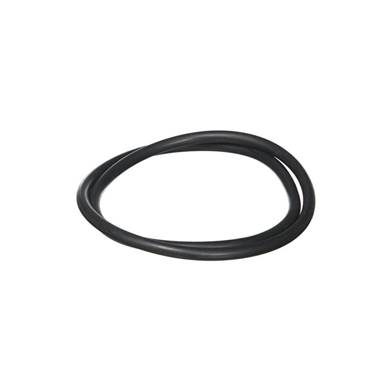 Waterway Plastics 806105244048 Pro Clean Lid O-Ring