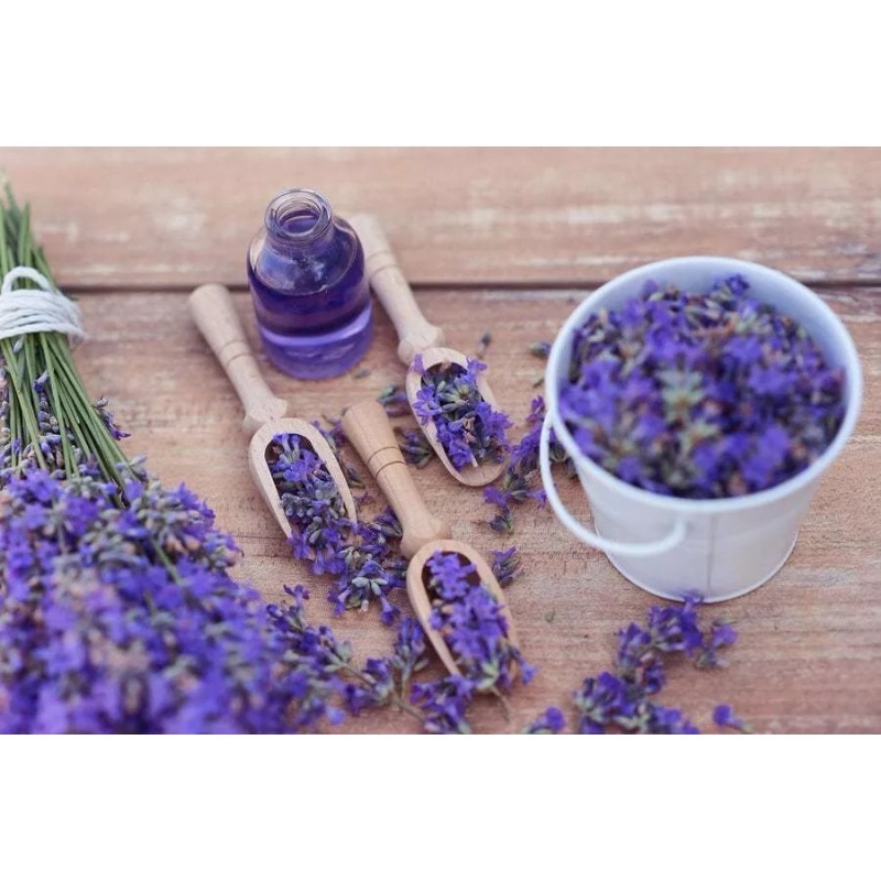 Celesty Shampoo Capilar Lavanda Y Albahaca Natural 10lts Emprende