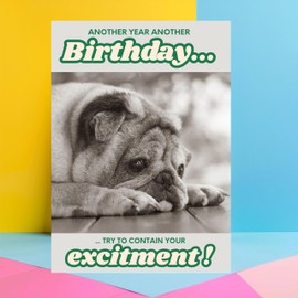 Funny Birthday Card with Pug Design, Another Year Another Birthday, Humorous Greeting Card, For Him, Dad, Brother, Uncle, Friends