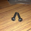 GM 2 NEW GENUINE GM 11508919 Bolts Screws, Front License