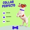 Collar para Perro Ajustable Duradero Elegante Suave Acolchado Transpirable Ajustable