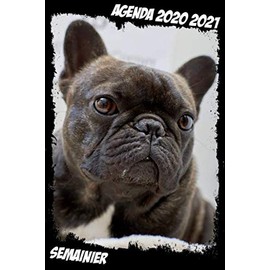 agenda chien 2020 2021 Semainier: Agenda Scolaire | Familial | Travail | Idéal pour la Rentrèe Scolaire | A5 | Thème Bouledogue