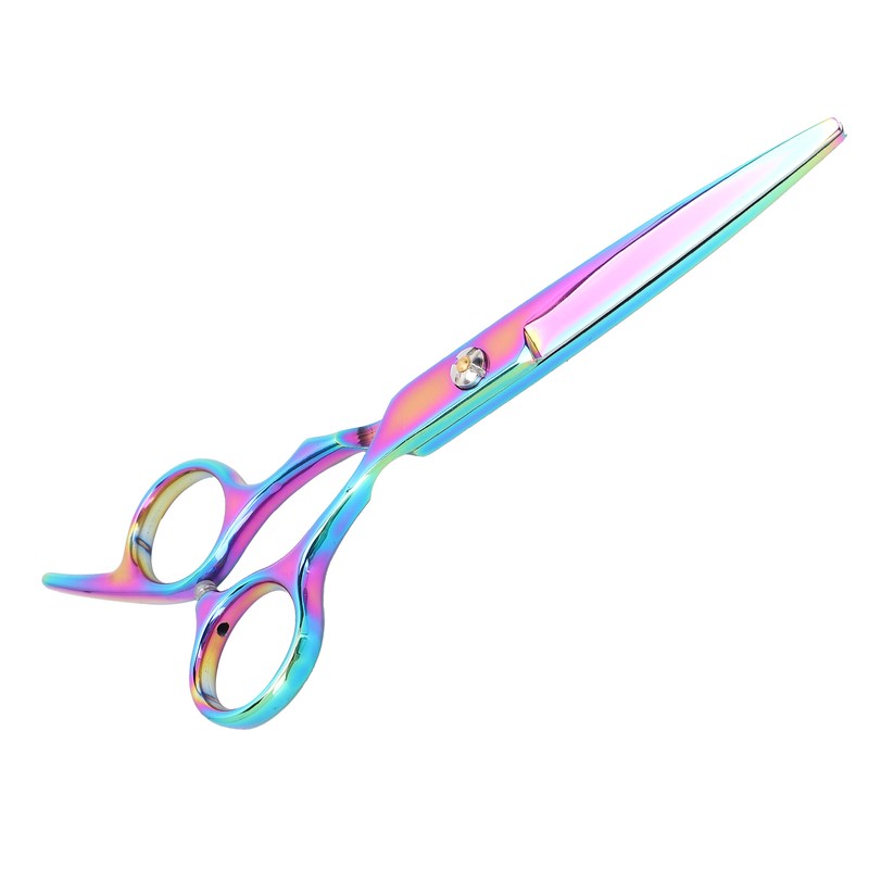Professional Hair Scissors Barber Hair Cutting Shears Stainless Steel Hairdressing