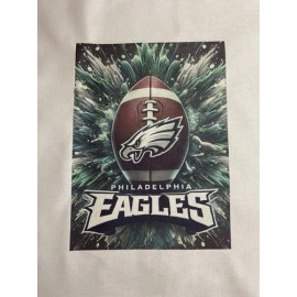 1 Philadelphia Eagles Quilt Block Football  Material Fabric Logo#6