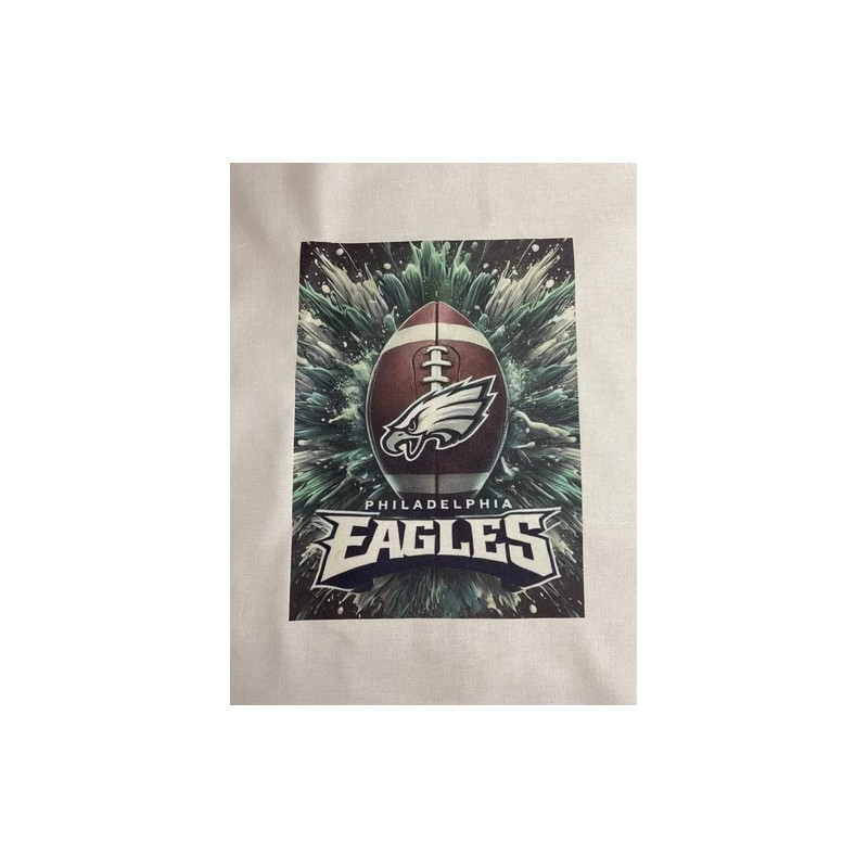 1 Philadelphia Eagles Quilt Block Football Material Fabric Logo#6