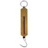 Homelux 890191 Roman Scale, 50 Kilos