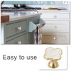 YOSOANPO 2 Pcs White Shell Kitchen Cabinet Knobs Clovers Zinc