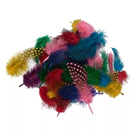 Platinum 0.1 Ounce (Approximately 95 Feathers) Guinea 2-4" Long Feather Mix