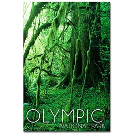 Olympic National Park, Washington Rainforest Travel Refrigerator Magnet Size 2.5" x 3.5"