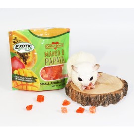 Mango & Papaya Treat (4.5 oz.) - Healthy Treat for Small Animals - Sugar Gliders, Rats, Chinchillas, Ferrets, Parrots, Hamsters, Squirrels, Hedgehogs, Guinea Pigs, Rabbits & Other Small Animals