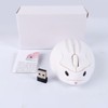 Wireless Mouse,2.4G GHz Gaming Mouse with a USB Receiver, Cute