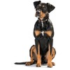 HUNTER Swiss Dog Collar, Swiss Cross Leather, 47 cm (S-M),