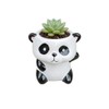 Cute Cartoon Animal Shaped Succulent Cactus Plant Pots-Plants Not Included