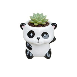 Cute Cartoon Animal Shaped Succulent Cactus Plant Pots-Plants Not Included (About 2.8 Inches)，Panda