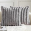 Mandioo Pack of 2 Decorative Throw Pillow Covers Faux Fur