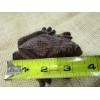 Midwest Craft House Cast Iron Frog Paper Weight Garden Yard