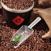 8 Cucharas De Transparente Mini Cuchara Taza Medidora De Palas