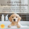 Burts Bee 2in1 Tearless Puppy Shampoo, 16-Ounce