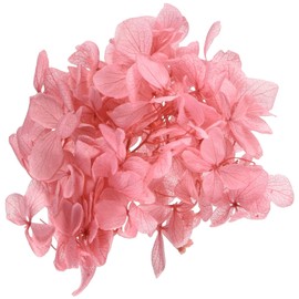 Daichi Farm DO001510-221 Preserved Flowers, Soft Pyramid Hydrangea Head, Strawberry, Approximately 2 Wheels (7 - 15 G))