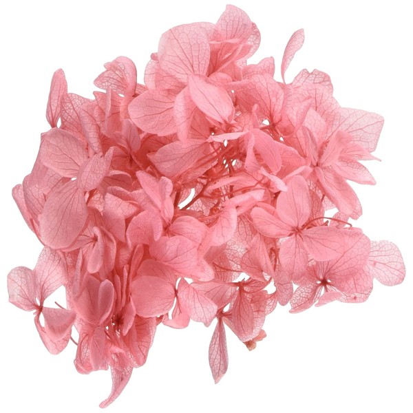 Daichi Farm DO001510-221 Preserved Flowers, Soft Pyramid Hydrangea Head, Strawberry,