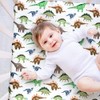 4 Pack Baby Boy Pack N Play Mini Crib Sheets