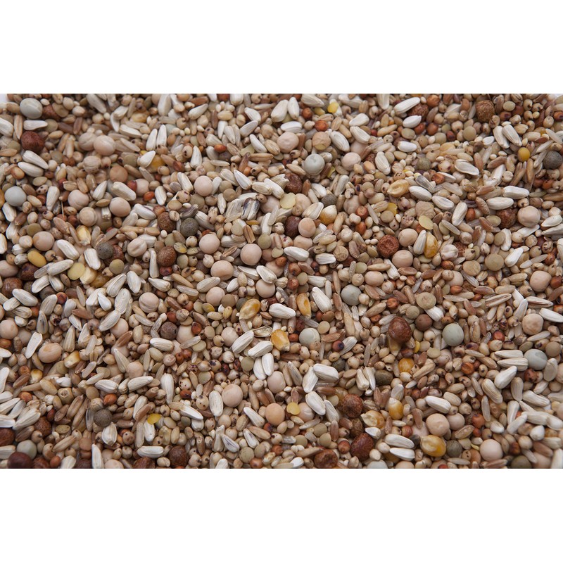 Des Moines Wild Bird Feed Breeder Pigeon Mix (15%) (20)