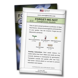 Sow Right Seeds - Forget-Me-Not Seed Packets to Plant (Cynoglossum amabile) - Full Instructions for Planting and Growing a Flower Garden; Non-GMO Heirloom Seeds; Wonderful Gardening Gift (2)