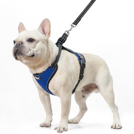 PUPTECK Dog Harness and Leash Set for Small Medium Sized Dogs, No Pull Dog Harness for Walking Training, Adjustable Reflective Puppy French Bulldog Frenchie Harness Soft Padded Vest, Blue, S