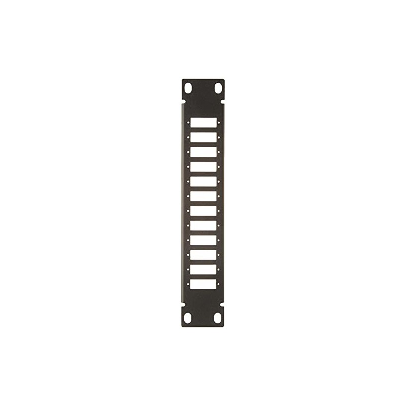 Delock 10 Inch Fibre Optic Patch Panel 12 Port for