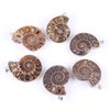 BOBEINI Natural Ammonite Fossil Pendant Jewellery Clay Silver Ammonite Fossil
