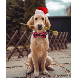 Malier Christmas Dog Collar and Bow tie with Classic Snowflake Pattern, Adorable Collar with Light Release Buckle Pet Accessories for Puppy Dogs Cats Pets - S